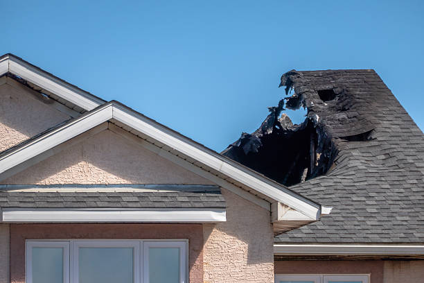 Top rated local Fire Damage Removal specialists in Lester Prairie, MN
